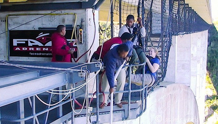 Bungy25.jpg