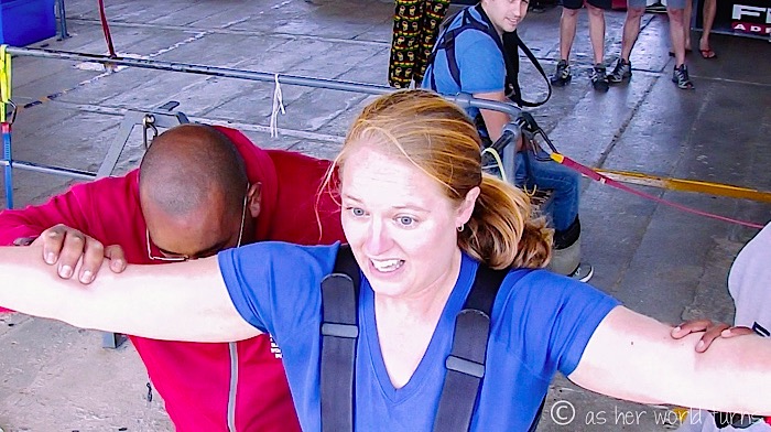 Bungy5.jpg