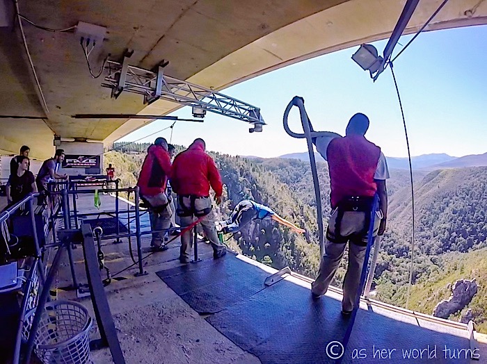 bungy111.jpg