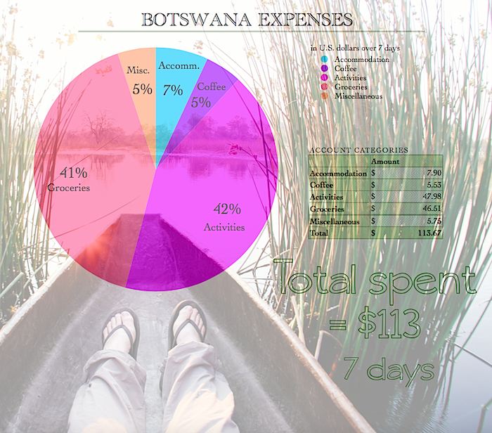BotswanaExpense1png.png