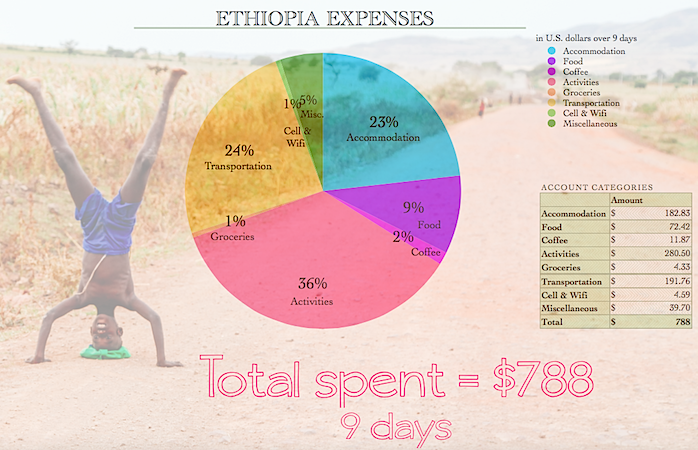 EthiopiaExpensesGraphicPNG.png
