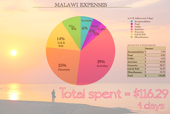MalawiExpensesGraphicsPNG.png