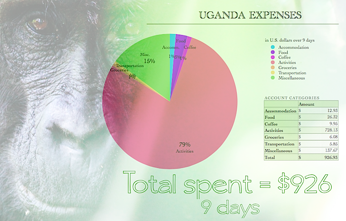 UgandaExpensesGraphicPNG.png
