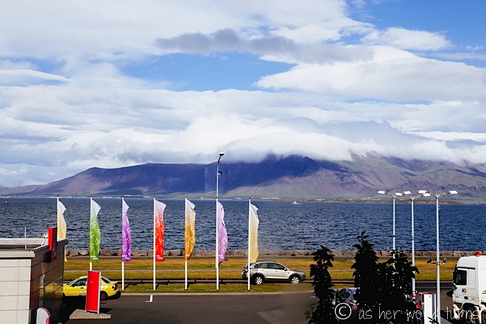 IMG_5486.jpg
