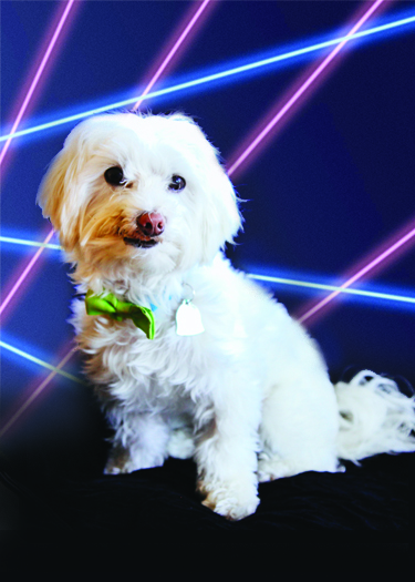 OscarXmas2015fixedBack