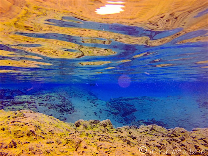 G0179016.jpg