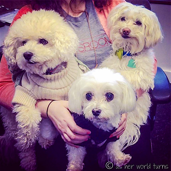 Maggie Bijou Oscar Beth.jpg