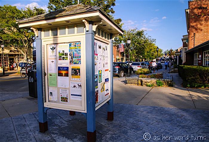 IMG_5426.jpg