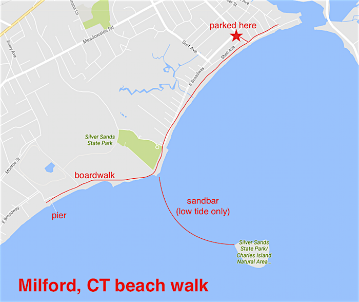 Milford Beaches.png