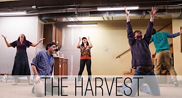 theharvest1.jpg
