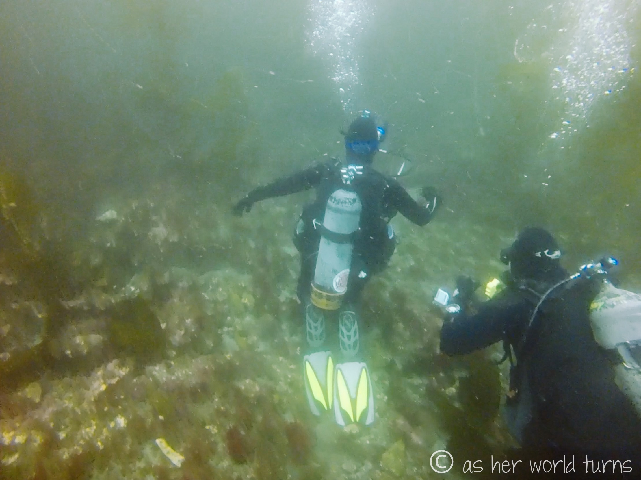 Channel_scuba 12.jpg
