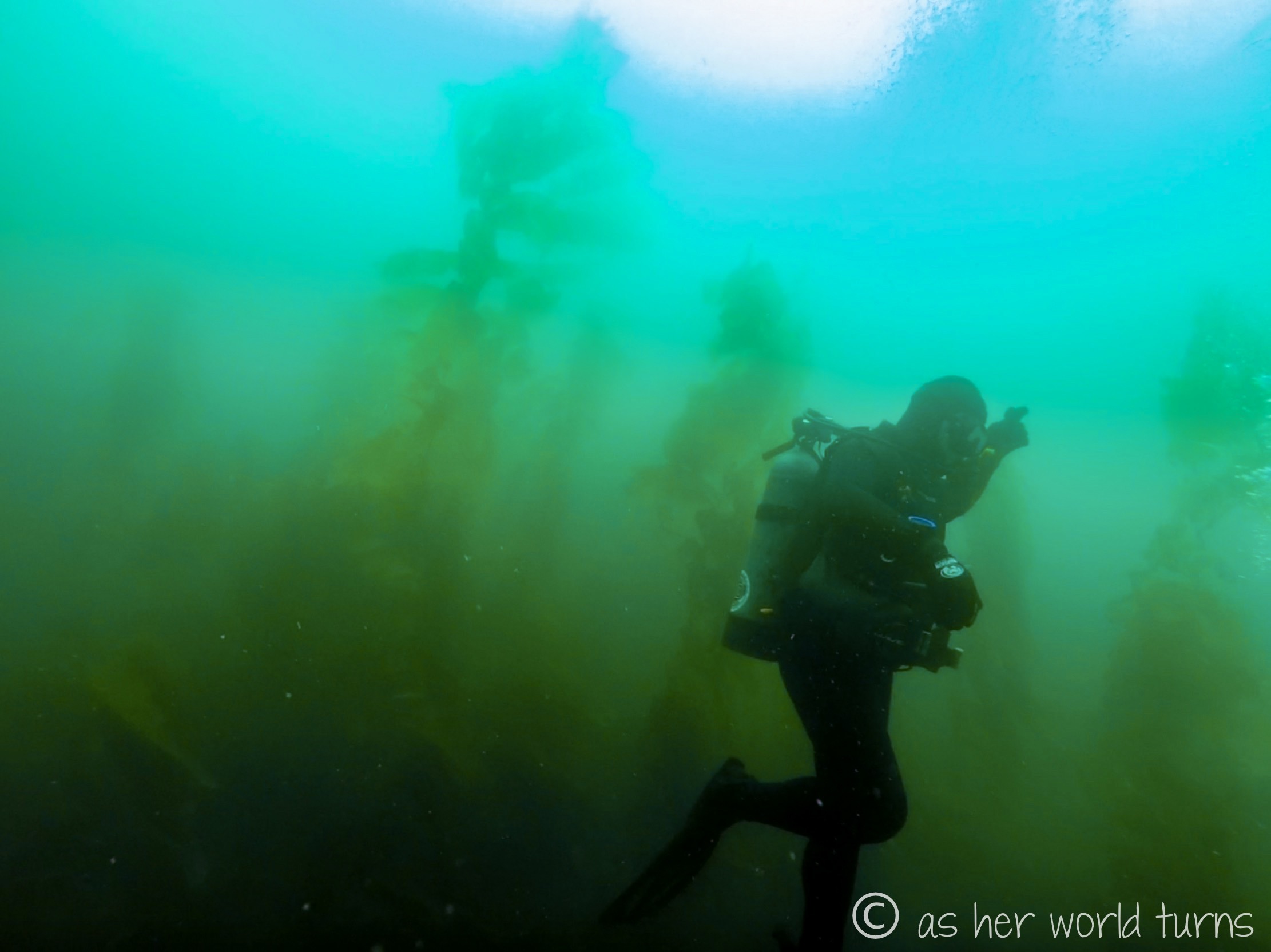 Channel_scuba 13.jpg