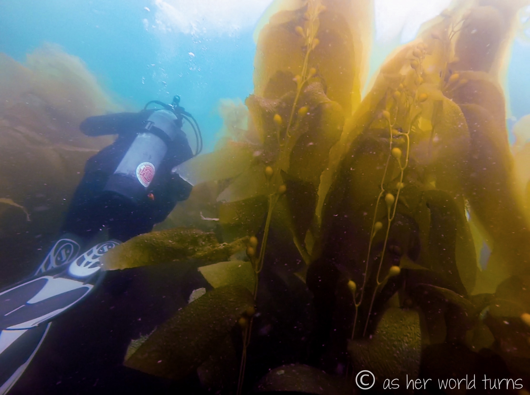 Channel_scuba 19.jpg