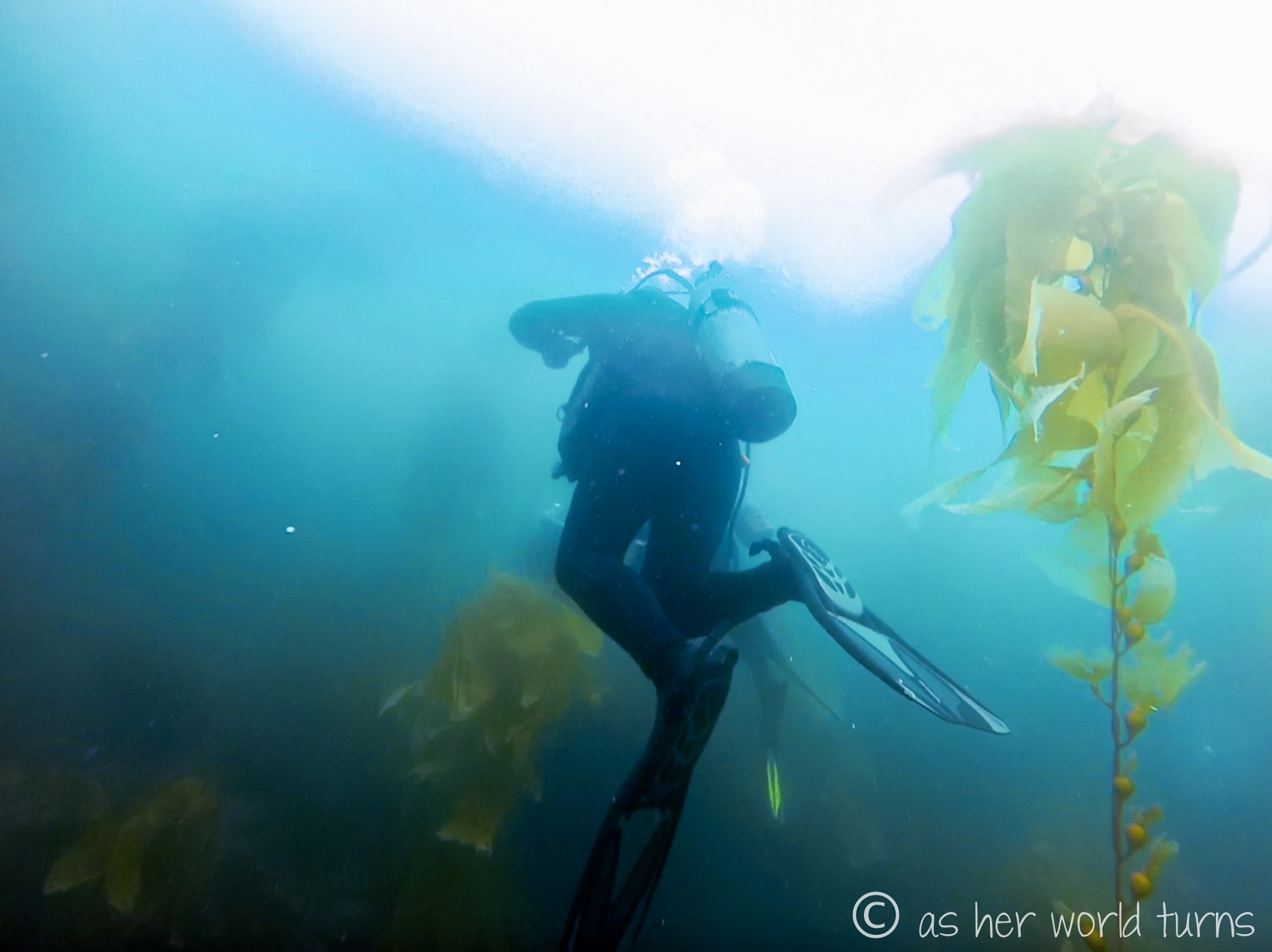 Channel_scuba 24.jpg