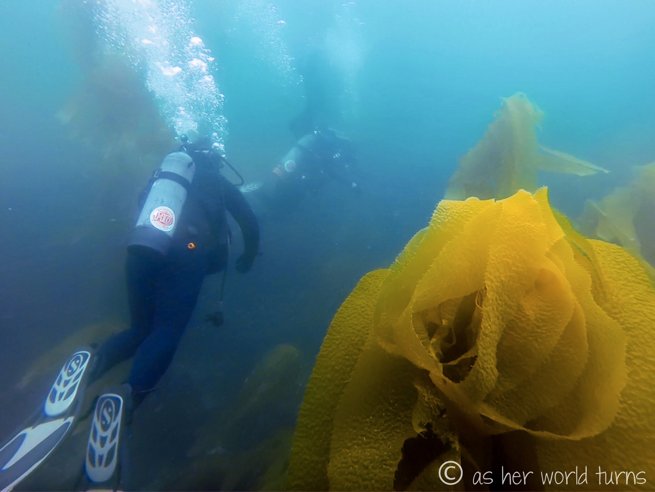 Channel_scuba 25.jpg