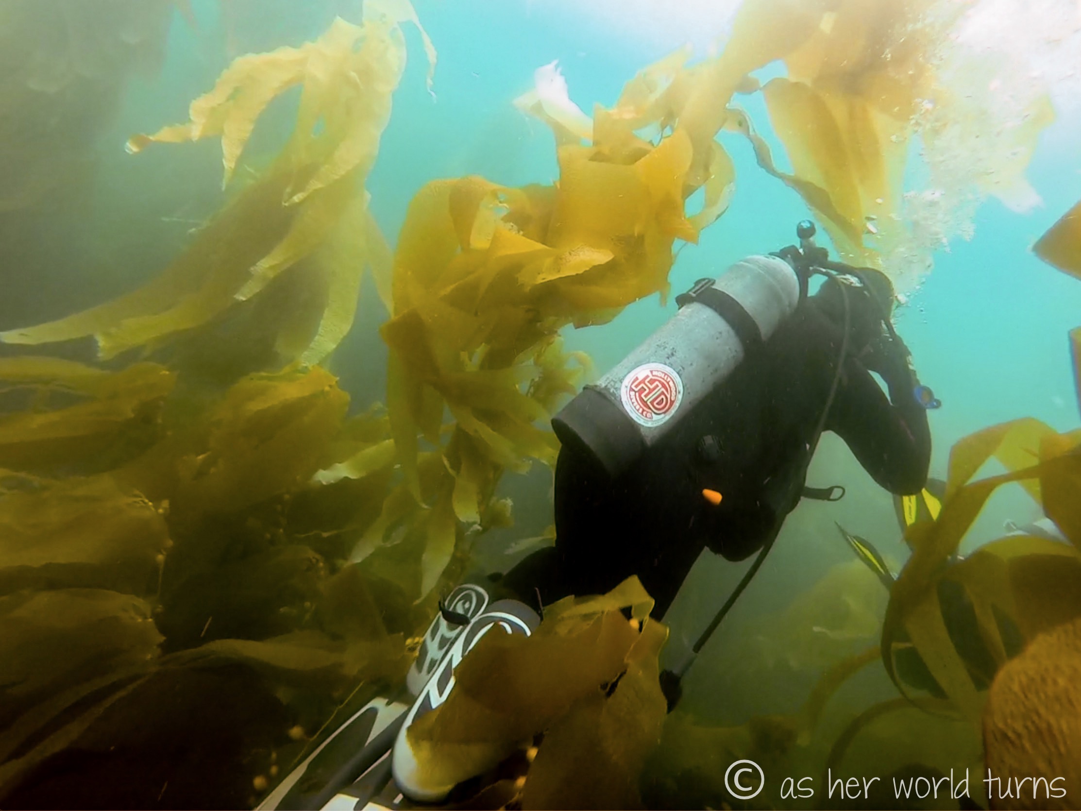 Channel_scuba 28.jpg