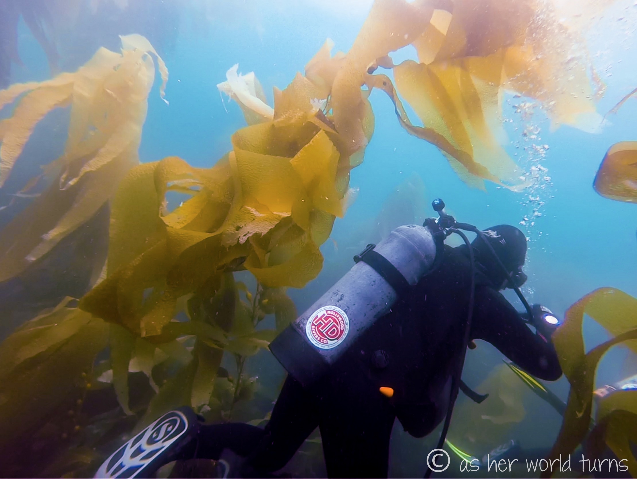Channel_scuba 29.jpg