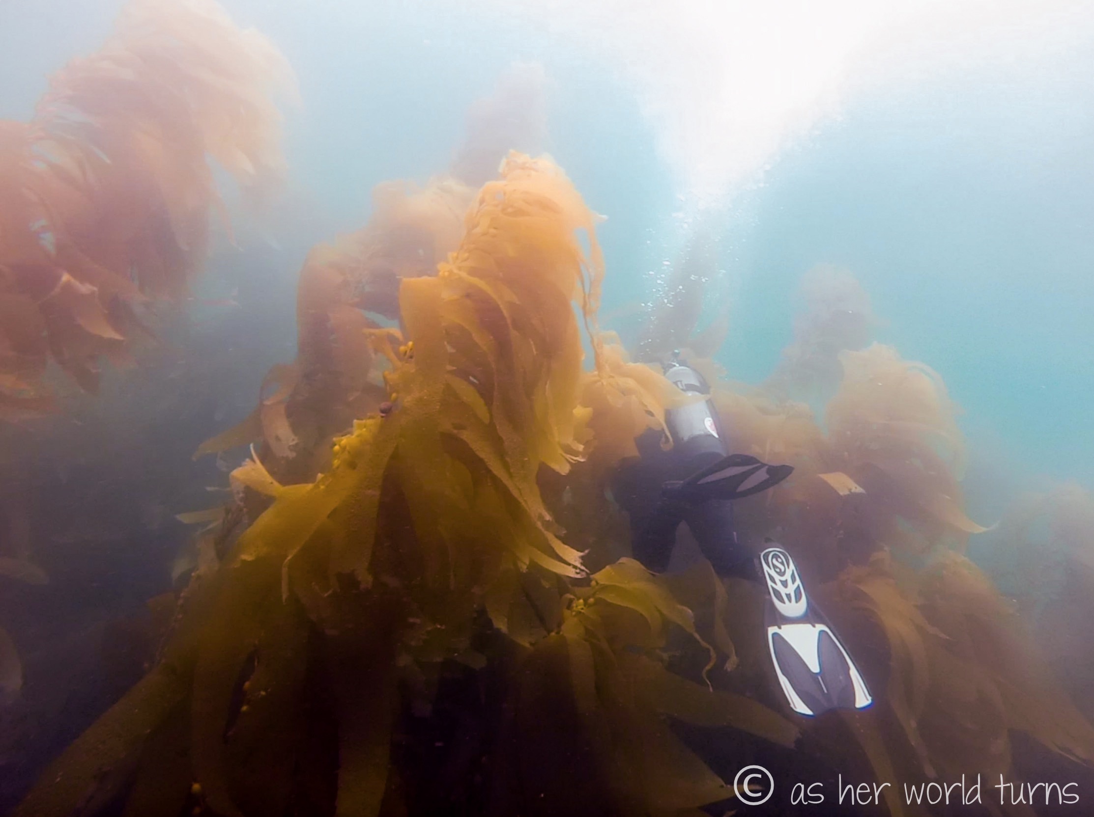 Channel_scuba 30.jpg