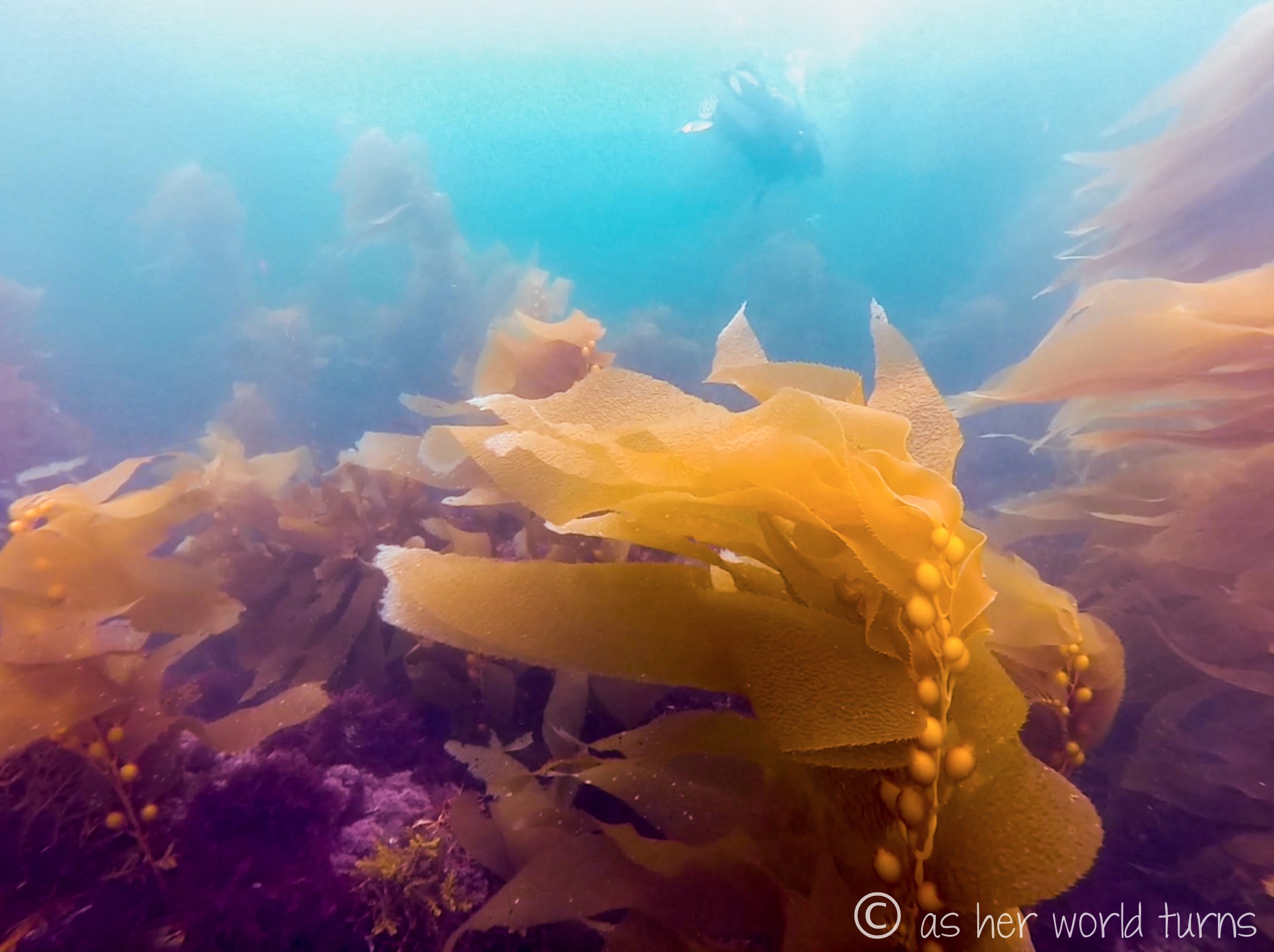 Channel_scuba 34.jpg