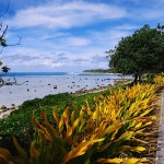 Rarotonga, Cook Islands