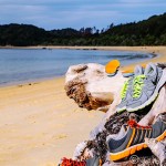 Abel Tasman Coastal Track: Day 1