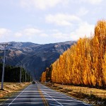 Rounding Out Queenstown