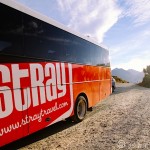 The Stray Bus Experience in New Zealand