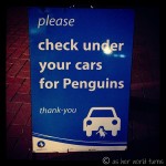 Please Check Under Your Cars for Penguins: An Evening on Phillip Island
