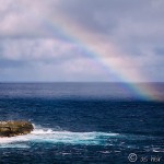 Highlight of Kangaroo Island