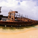 Ships, Sharks, and Swimming on Fraser Island