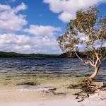 Lake McKenzie and Wild Aussie Critters