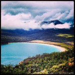 Drinking in Wineglass Bay