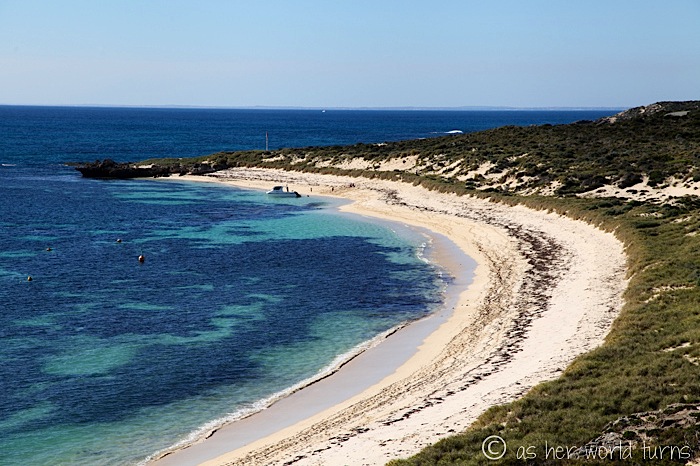 Cycling in Paradise: Rottnest Island | As Her World Turns