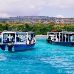 Diving Menjangan Island in Bali