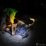 The Turtle Island Experience