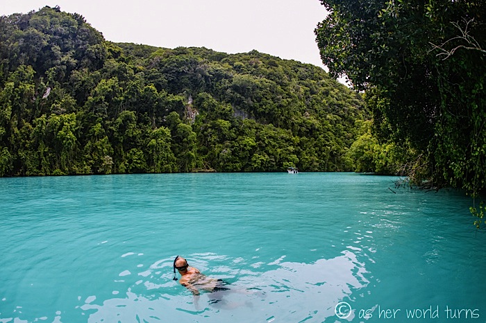 The Milky Way Lagoon | As Her World Turns