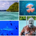 RECAP: Palau