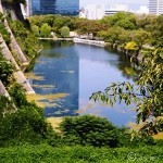 Exploring Osaka: An Introduction to Japan