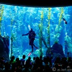 California Science Center: Exploring Oceans & Space