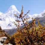 Everest Day 5 & 6: Gaining Altitude