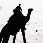 Dromedary Drama and Aqaba