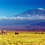 Kilimanjaro-1.jpg
