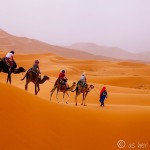 Sandstorm in the Sahara