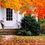 Fall Flashback: Wallingford, CT