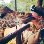 The Time I Made Out with a Giraffe