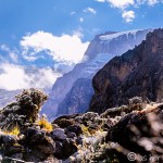 Kilimanjaro Day 4: Barranco Wall