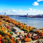 Transition to Winter: November 2014