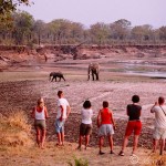 Camping on the Luangwa River