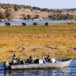 Sunset Cruise on the Chobe River