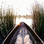 The Okavango Delta Experience